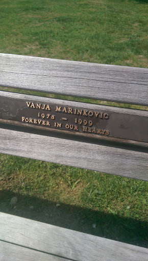 Vanja Marinkovic Memorial Bench 