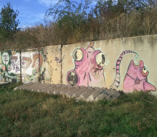 Fish Graffiti 