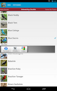 South American Birds Sounds Screenshots 10