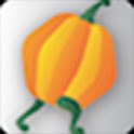 On the Go logo