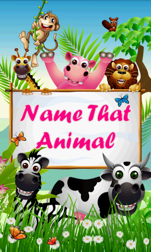 Name That Animal