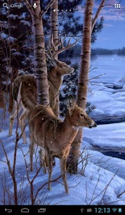 How to download Winter Snow Live Wallpaper 2.1 apk for bluestacks