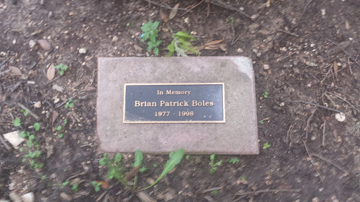 Dedication to Brian Patrick Boles