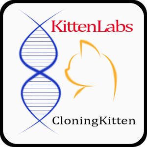 Cloning Kitten.apk 1.7