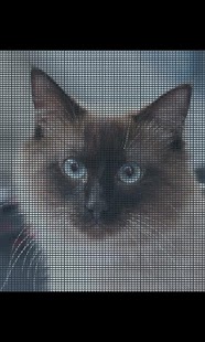 How to mod Photo Love Lite lastet apk for android