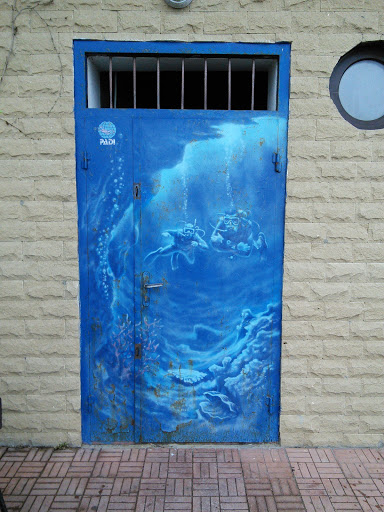Divers Art on the Door