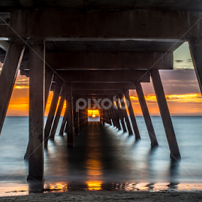 That One in a Million Shot by Sharon Wills - Buildings & Architecture Bridges & Suspended Structures