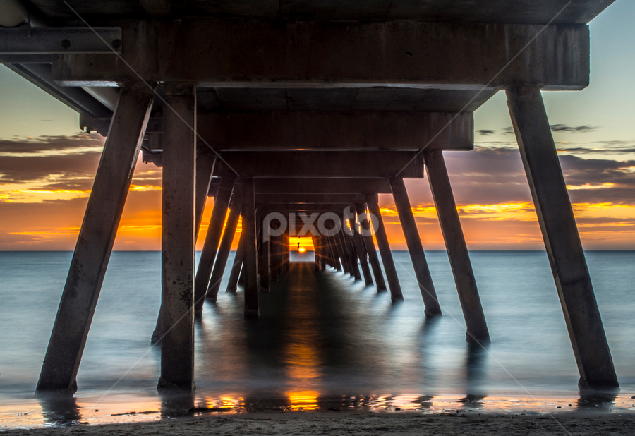 That One in a Million Shot by Sharon Wills - Buildings & Architecture Bridges & Suspended Structures