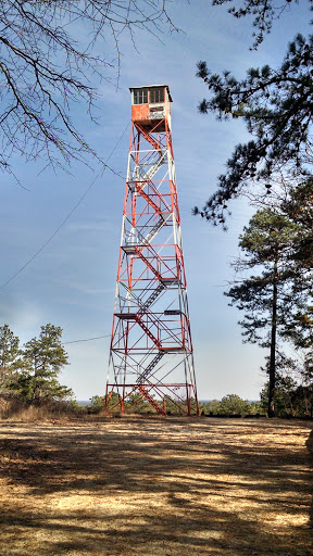 Pinelands Fire Tower