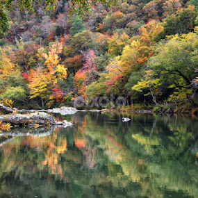 Cossatot  Reflections by William Rainey  - Landscapes Waterscapes