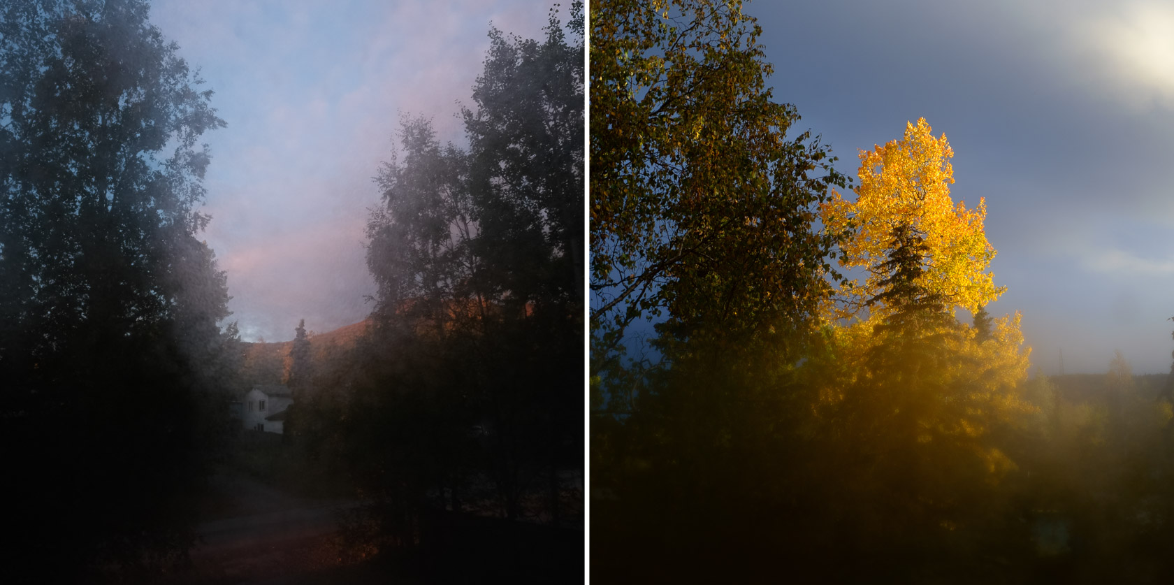 Summer Evenings, Alaska