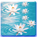 lotus live wallpaper icon