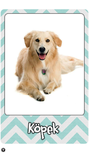 Bebek Kartları Hayvanlar Alemi Screenshots 2