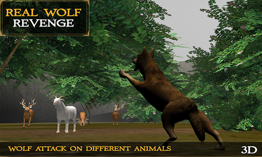 Real Wolf Revenge Simulator 3D