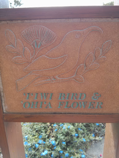 I'iwi Bird And Ohia Flower