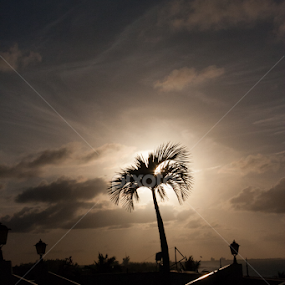 rooftop sunset by Elsie Nisonen - Landscapes Sunsets & Sunrises