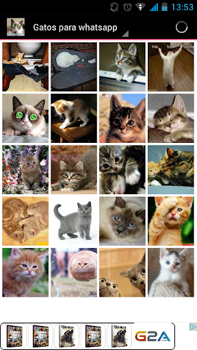 無料娱乐Appのwhatsappのための猫|記事Game