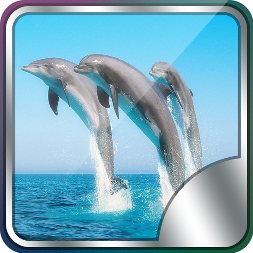 Dolphin Live Wallpaper LOGO-APP點子