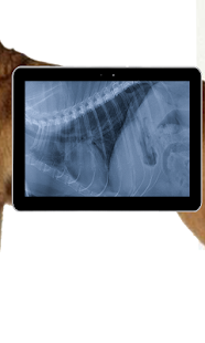 Pet Xray- Prank Screenshots 3