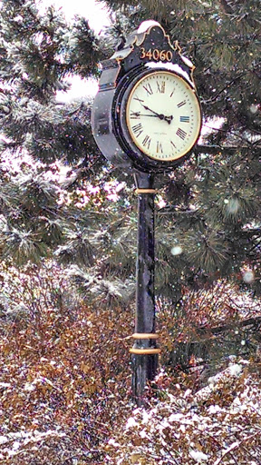 Environmental Building Company Clock