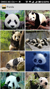 Wallpapers Screenshots 8