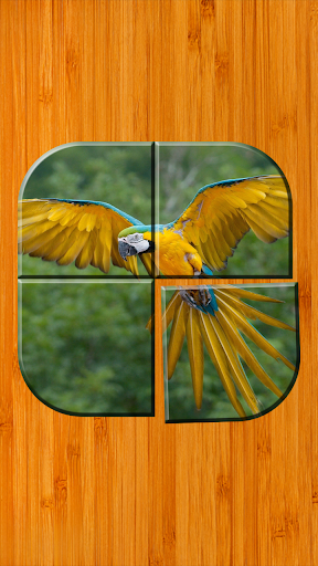Bird Picture Puzzle Games Free