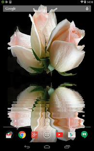 How to get Roses Animated Live Wallpaper 1.1.1 apk for laptop
