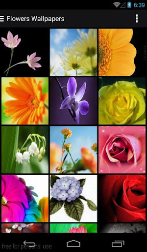 Flowers HD Wallpaper
