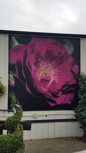 Regan Nursery Flower Mural