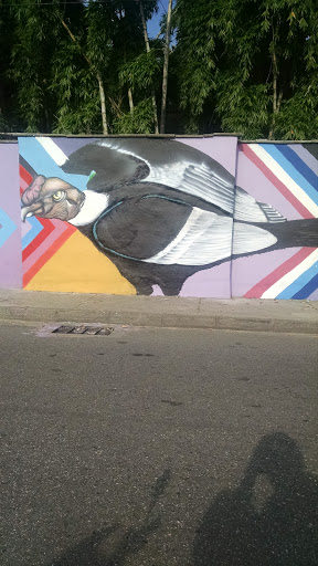Mural Condor Al Vuelo