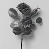 Rose branch made of iron from the gunboat of Jan van Speijk