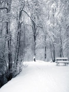 Download winter wallpapers APK for Android