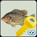 Name That Fish Key