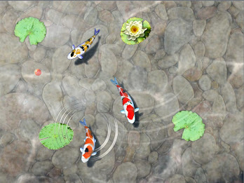 Feed the Koi fish Kids Game poster 5