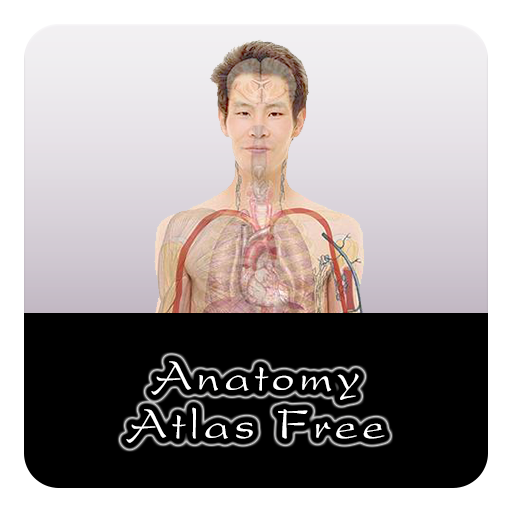 【免費生活App】Anatomy Atlas Free-APP點子