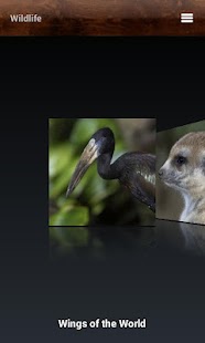SDZ Safari Park Screenshots 2