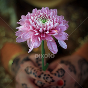 Wedding Flower by A Friyana Wiradikarta - Flowers Flower Arangements