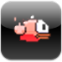 Fluffy Bird icon