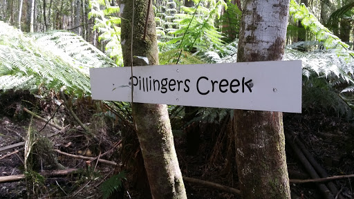 Pillingers Creek