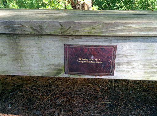 Haggett's Rail Trail Memorial Bench. 