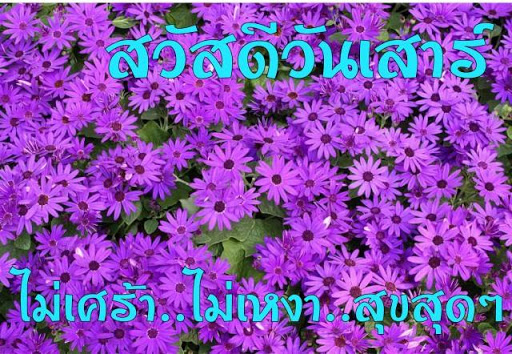 สวัสดีวันเสาร์