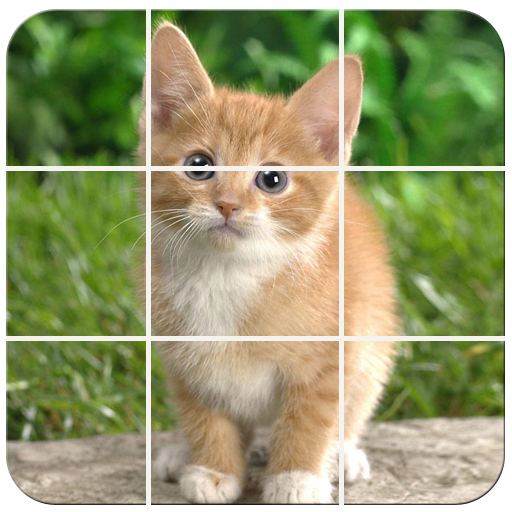 Pets Photo Puzzle LOGO-APP點子