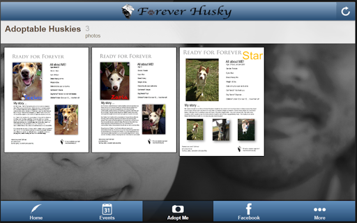 【免費商業App】Forever Husky-APP點子