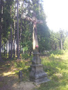 Cross in the Forest