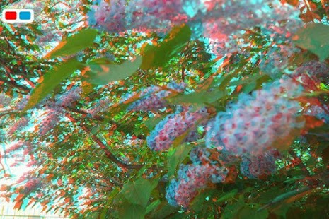 How to install 3D Fotka (3D camera) 2.1.3 unlimited apk for pc