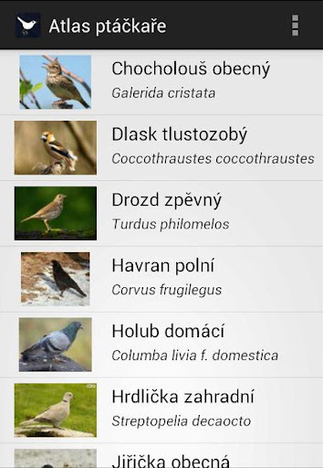 【免費娛樂App】Birdwatcher's atlas-APP點子