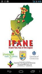 ipane poster 1