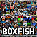 Boxfish TV Guide mobile app icon