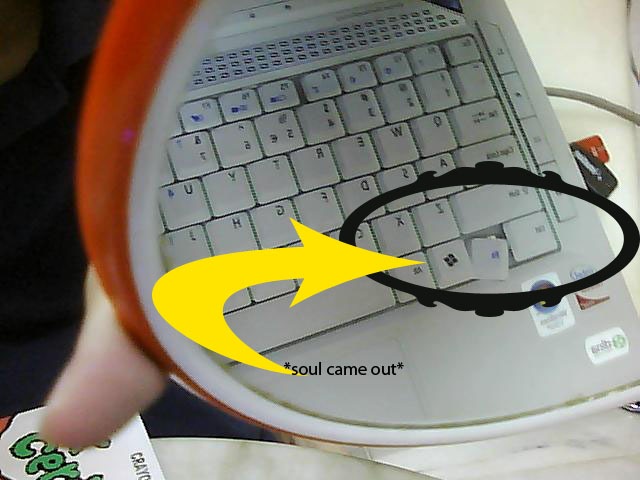 [Picture0001[5].jpg]