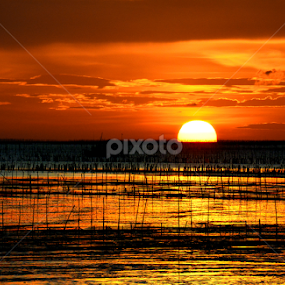 Half Sun by Alan Chew - Landscapes Sunsets & Sunrises